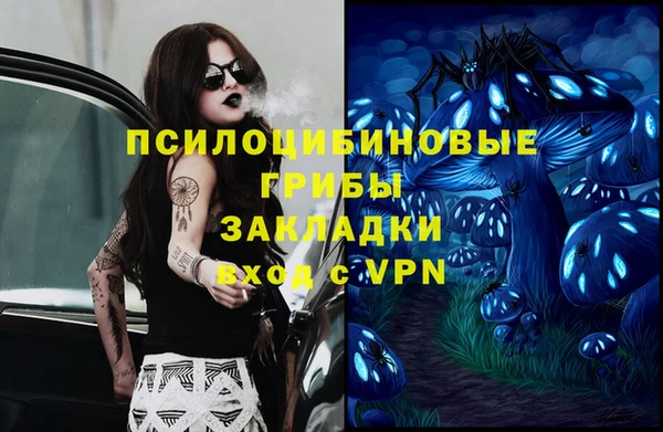 амф Абаза
