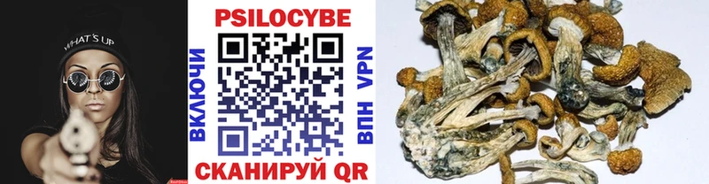 наркотики  Донецк  Галлюциногенные грибы Cubensis 