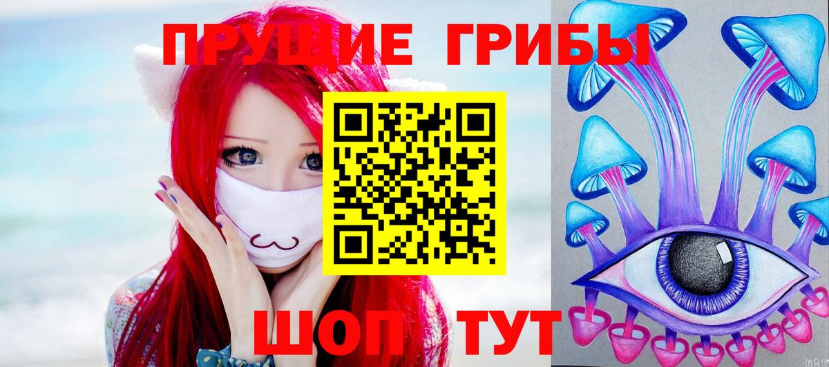 Галлюциногенные грибы Psilocybe Донецк